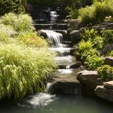 Photo of NYBG's Rock Garden cascade