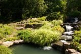 waterfall in the summer of the Rock Garden