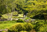 Green bushes in the Rock Garden in the summer