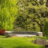 Outlook over the Azalea Garden with green leaves