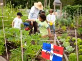 Family Garden - Summer