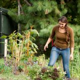 NYBG Garden Staff working in grounds with sustainable treatments.