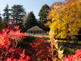 Home Gardening Center - Fall