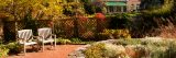 Fall colors of yellow and orange in the Home Gardening Center