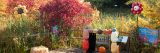Fall colors in the children's garden