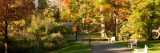 Wetland Train with fall foliage and white park benches.