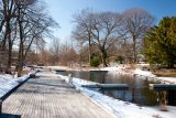 snow covered native plant garden