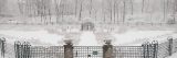 Photo of the rose garden in winter