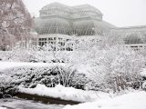 Perennial Garden - Winter