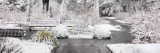 snow covered perennial garden