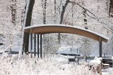 Snow covered native plant garden