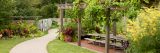 Summer greenery in the Family Garden
