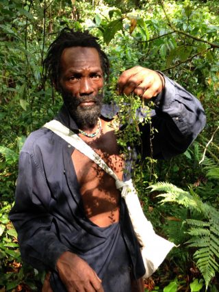 Jamaican man holdig vine-like plant