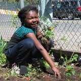 Young girl planting flowers in a community Garden.