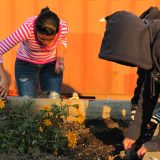 Volunteers working with flowers in community garden.
