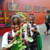 Two young girls holding up radishes picked from their community garden.