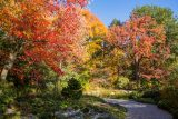 Rock Garden - Fall