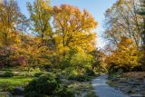 Rock Garden - Fall