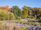 Photo of the Native Plant Garden