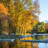 A tree with orange leaves reflected in the water in the Native Plant Garden