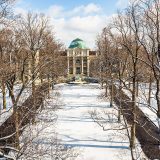 A lawn covered with snow with the NYBG library in the background