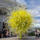 Chihuly Sol del Citron with people standing around it.