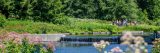 Image of the small waterfall in the Native Plant Garden in summer.