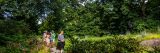 A group of people in the Azalea Garden during summer.