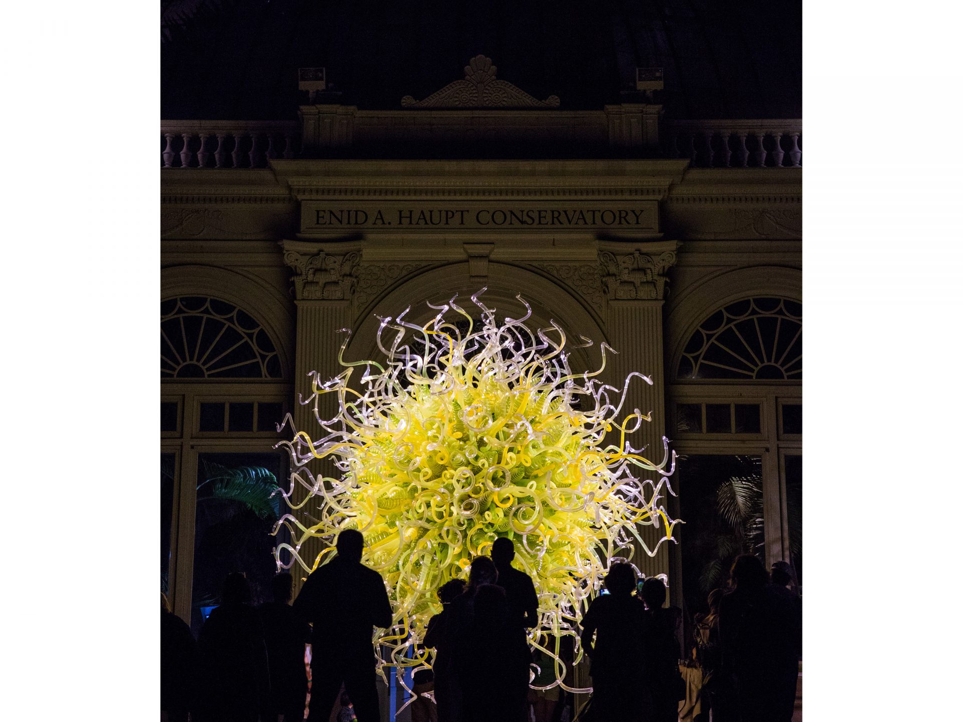CHIHULY Nights » New York Botanical Garden