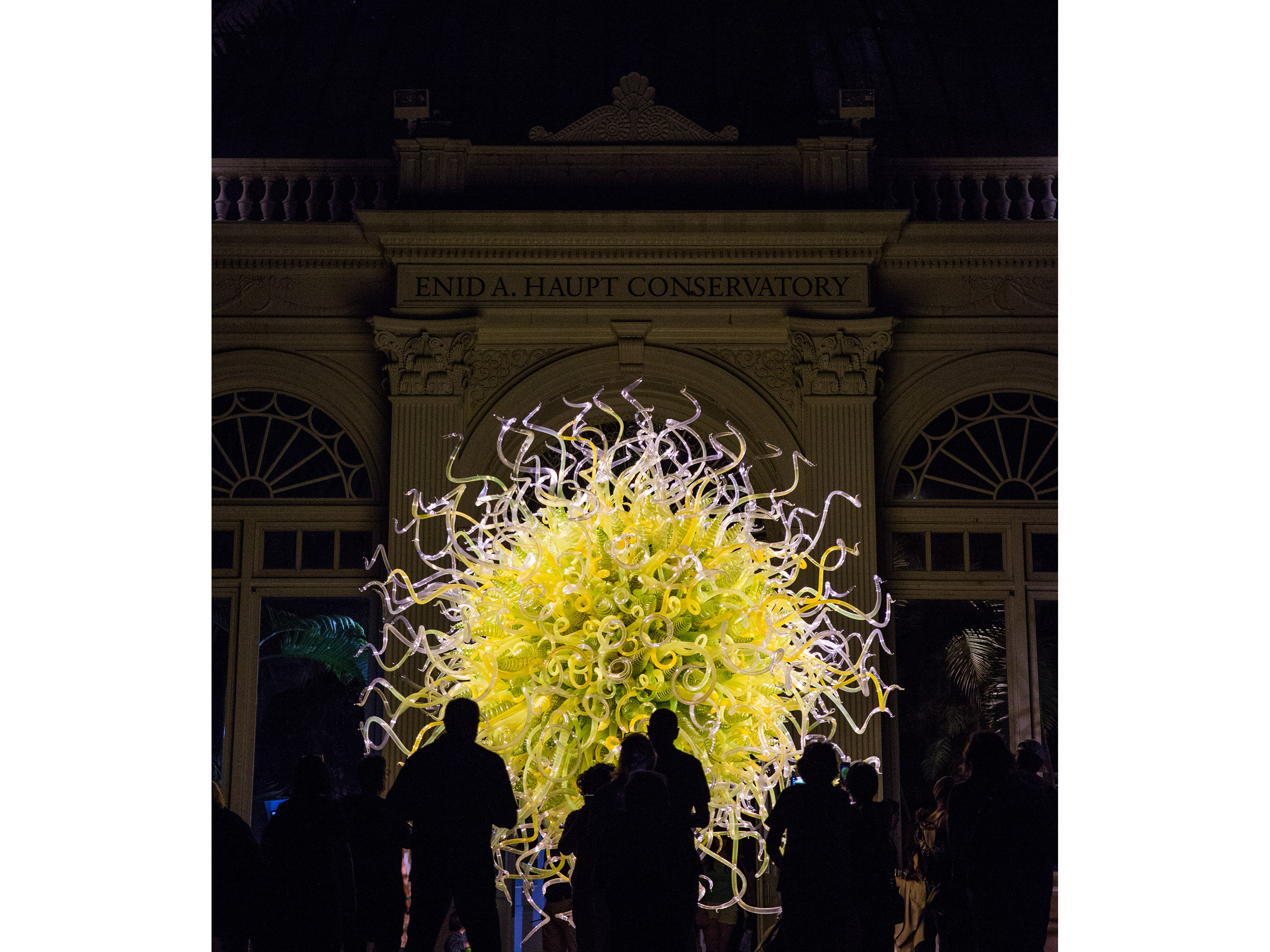 CHIHULY Nights » New York Botanical Garden