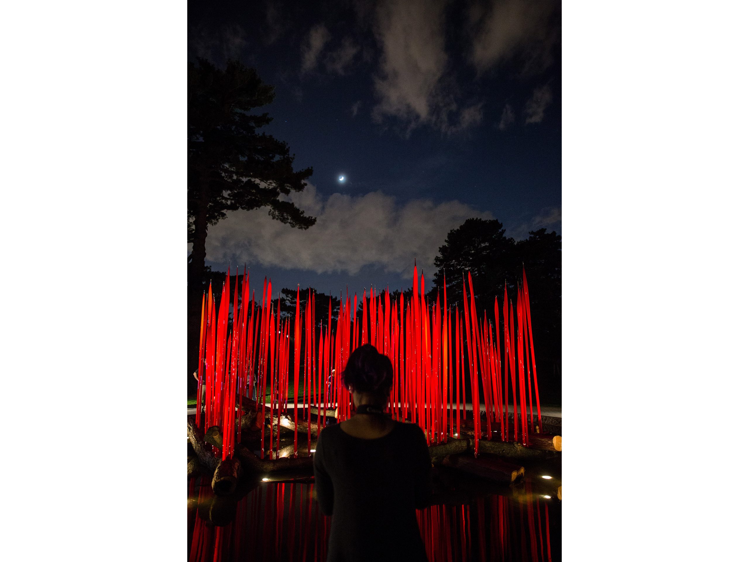 CHIHULY Nights » New York Botanical Garden