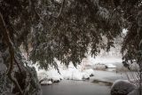 View from the pond during a snow filled day in the rock garden