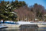 snow covered native plant garden