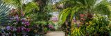 A panoramic shot of The Orchid Show: Thailand's lush landscape.