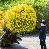 A child in the Adventure Garden with a caterpillar made from flowers.