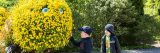 Two children looking at a caterpillar sculpture with yellow flowers