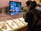 Photo of a visitor observing plant specimens in Ross Gallery