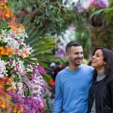 A couple walking by colorful flowers during Orchid Evenings