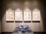 Photo of Chihuly's Early Works in the LuEsther T. Mertz Library Building