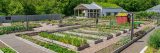 Rows of vegetable plots lead up to a small building with a greenroof in the Edible Academy.