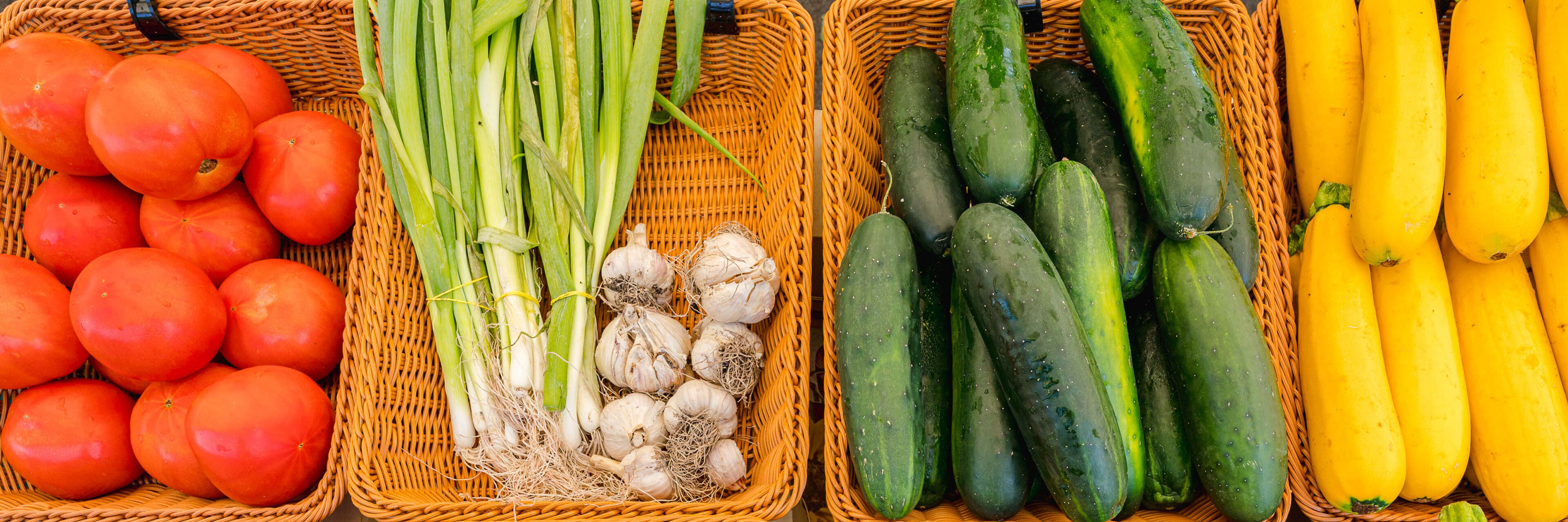 NYBG Farmers Market New York Botanical Garden