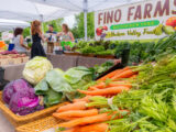 A farm stand full of purple and green cabbages, leafy greens, and orange carrots