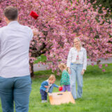 Parents and their children play lawn games near a tree full of pink flowers