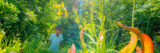 A child looks out over a sunny space full of green and orange plants