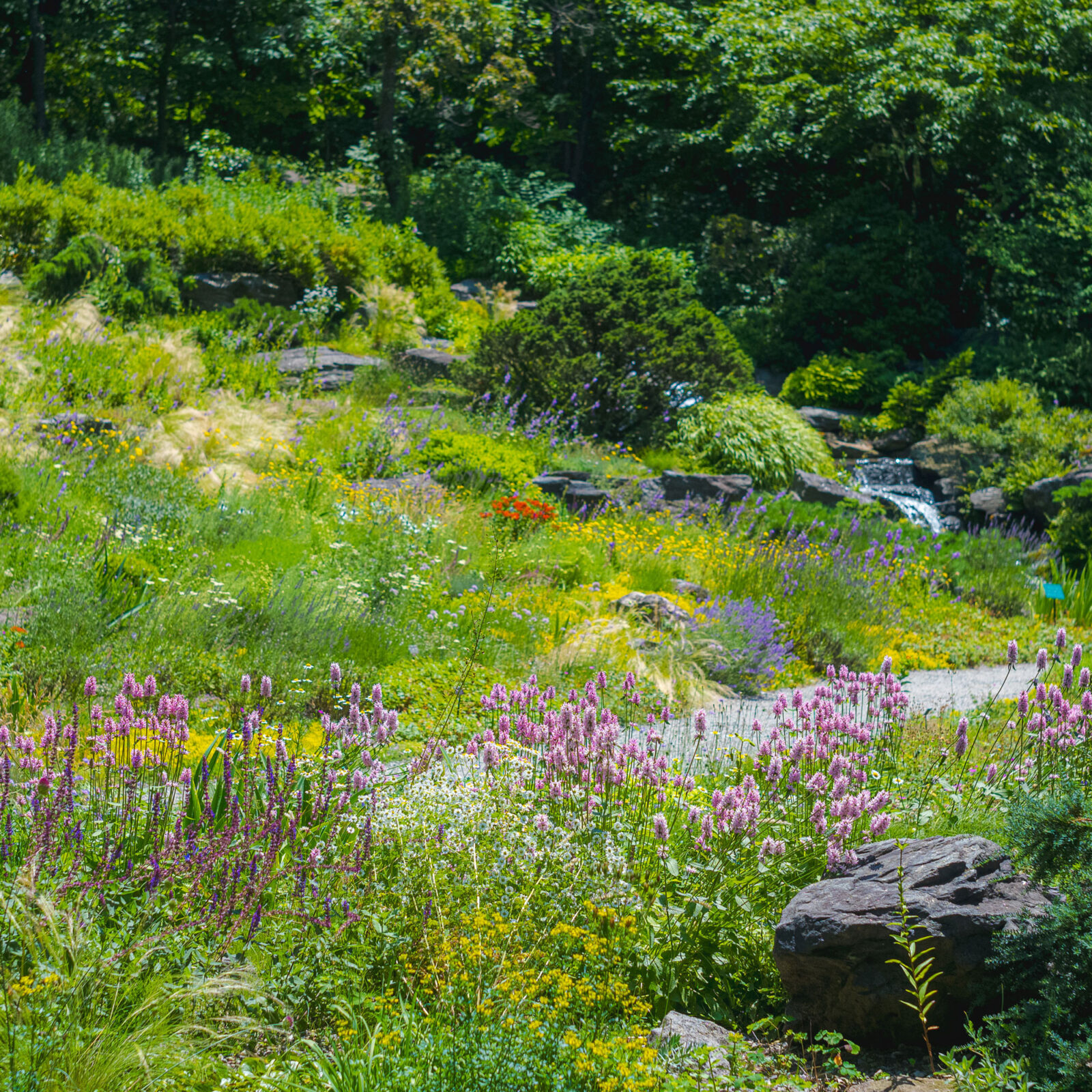 What's On | New York Botanical Garden