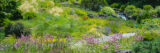 a stone path is surrounded by lush green grasses, with a small waterfall in the background