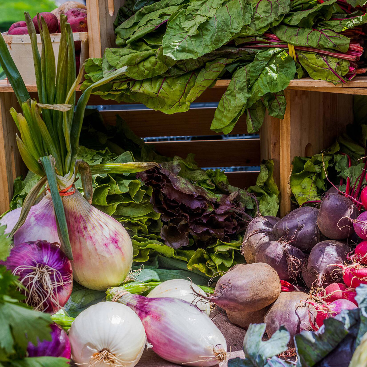 NYBG Farmers Market New York Botanical Garden