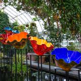 Photo of Chihuly's macchias