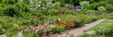 Photo of the Rose Garden in spring