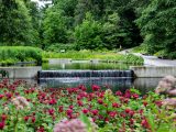 Photo of the Native Plant Garden